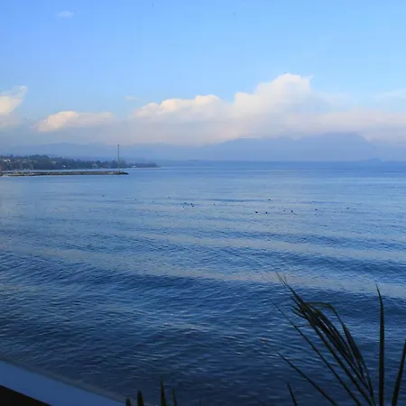 Estee Hotel 4*